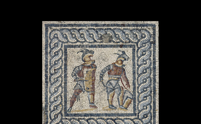 Points forts de la collection