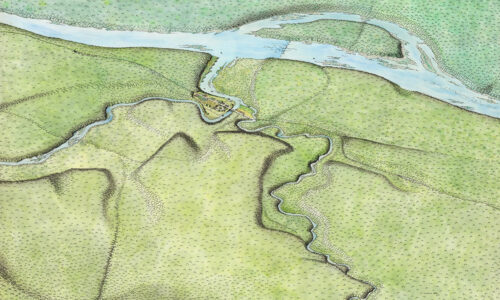 Les Celtes dans la région de Bâle