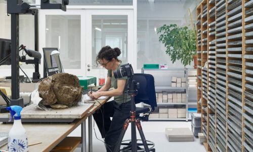 Führung Plus: Forschung live!