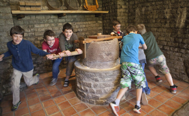 Pane al forno: Dal grano al pane romano