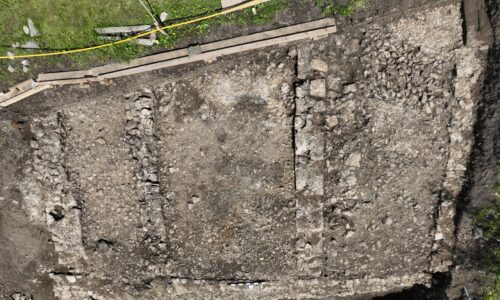 Erste Strukturen in Form von Mauern, einem Schwellstein und dazugehörigem Mörtelboden. © Augusta Raurica