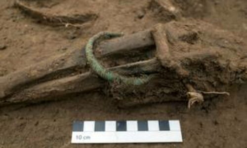 Augusta Raurica Ausgrabung Kaiseraugst Schuermatt Schmuck im Grab Die Verstorbene traegt einen Armring Kanton Aargau Kantonsarchaeologie Aargau