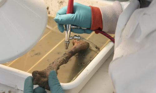 Conservation / Restauration