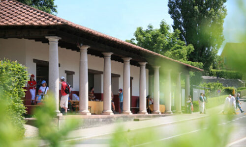 Littérature / Édition