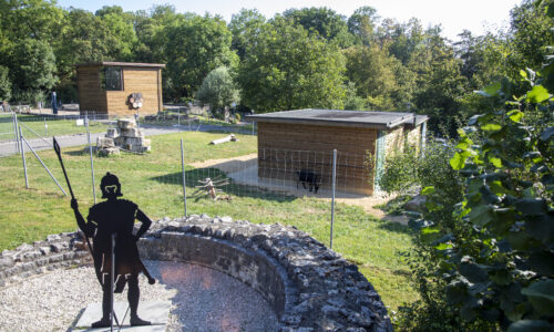 Augusta Raurica - Der Tierpark - Foto Suanne Schenker