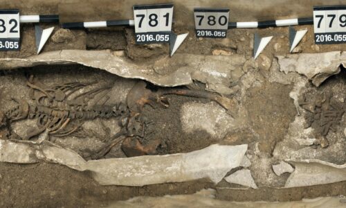 Augusta Raurica Blick in den Bleisarg Foto Corinne Hodel