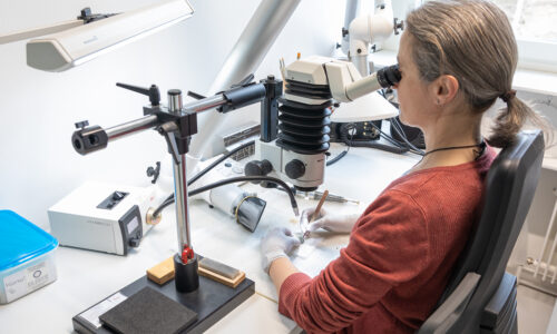 Sammlungszentrum Augusta Raurica Arbeitsplatz Fundrestaurierung Foto Susanne Schenker