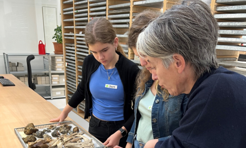 Archäologie zum Anfassen am Zukunftstag in Augusta Raurica